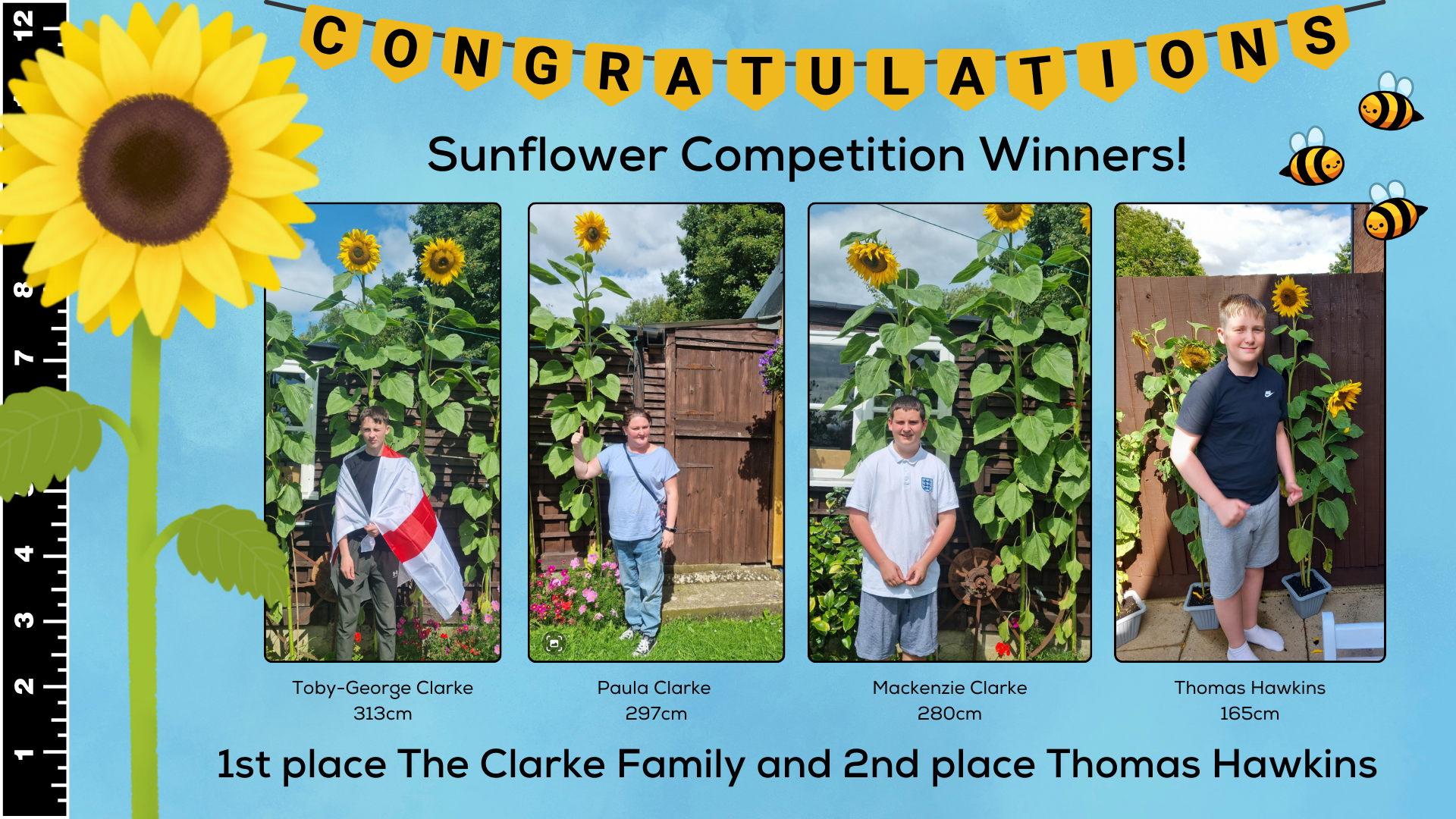 Sunflower Competition Winners